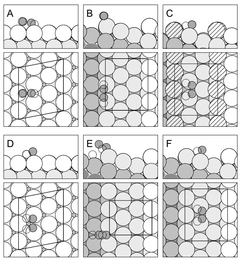 Step Surface Defect on Pt